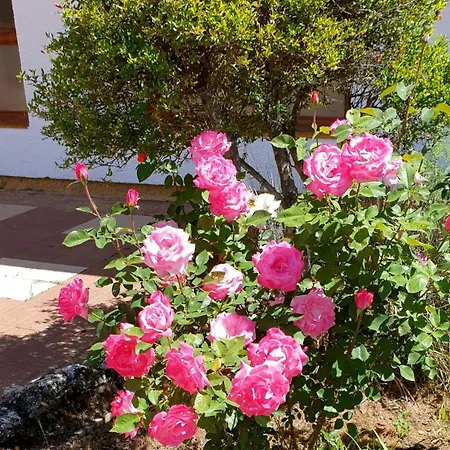 Arboledas Rural * Baeza