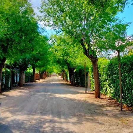 Holiday home Arboledas Rural Baeza