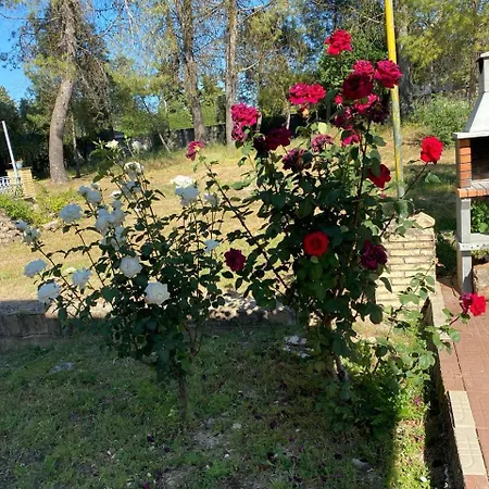Arboledas Rural Holiday home *